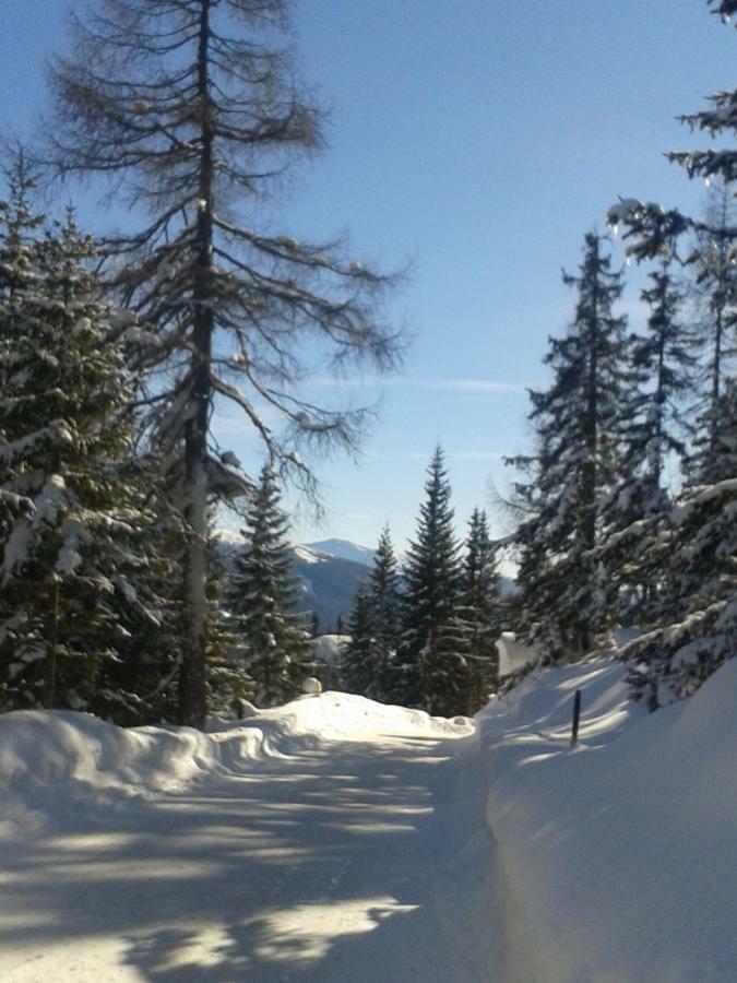Ferienwohnung Vorstadt Gmünd Exteriör bild